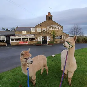 the-falcon-inn-ravenscar.yorkshirehotels.net/